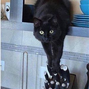 Meet your Posher, Cindy